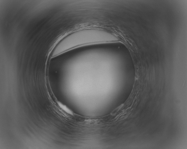 X0000053000052200507081006