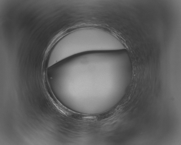 X0000053000053200507081006