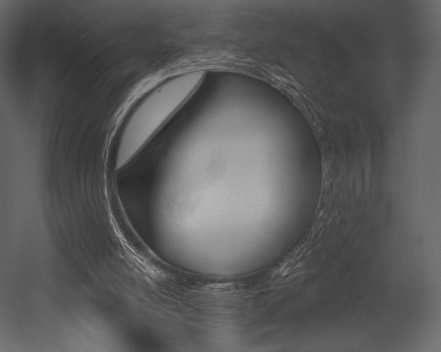 X0000053000054200507081006