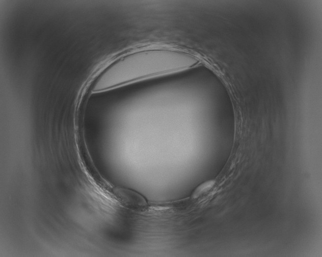 X0000053000055200507081006
