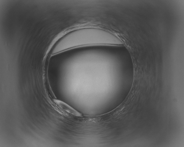 X0000053000056200507081006