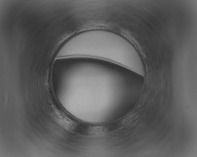X0000053000058200507081006
