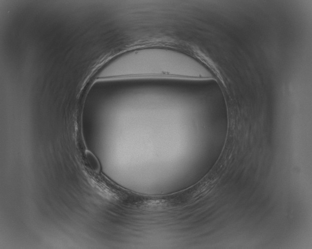 X0000053000059200507081006
