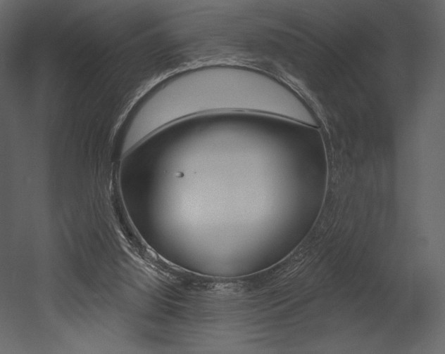 X0000053000060200507081006