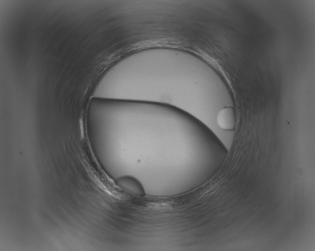 X0000053000061200507081006