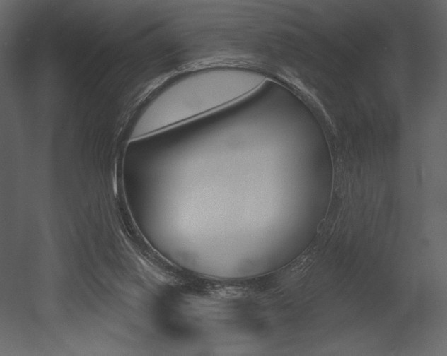 X0000053000062200507081006
