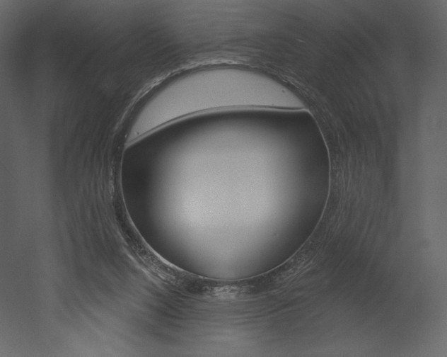 X0000053000064200507081006