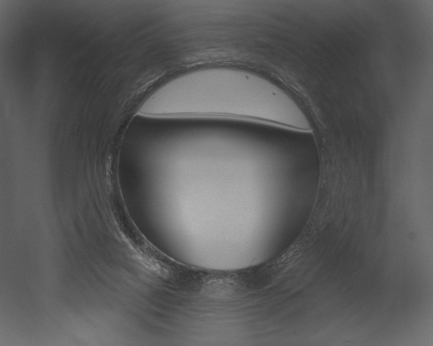 X0000053000066200507081006