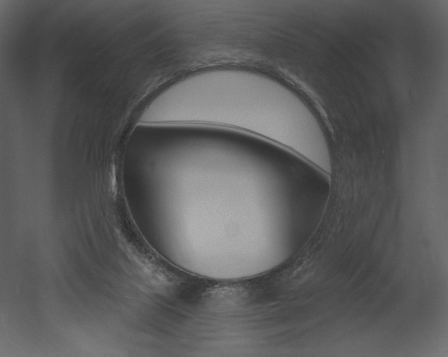 X0000053000067200507081006