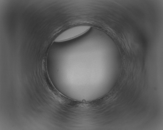 X0000053000071200507081006