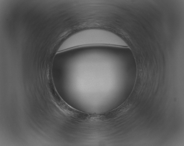X0000053000072200507081006