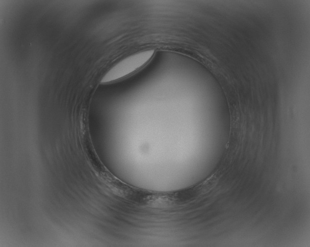 X0000053000074200507081006