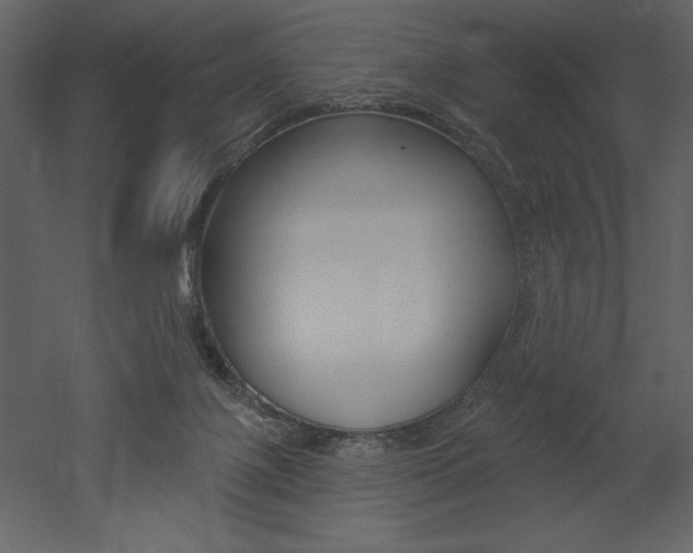 X0000053000075200507081006