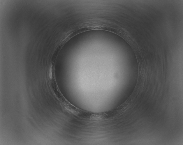 X0000053000076200507081006