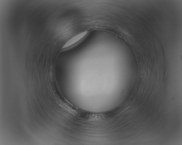 X0000053000077200507081006