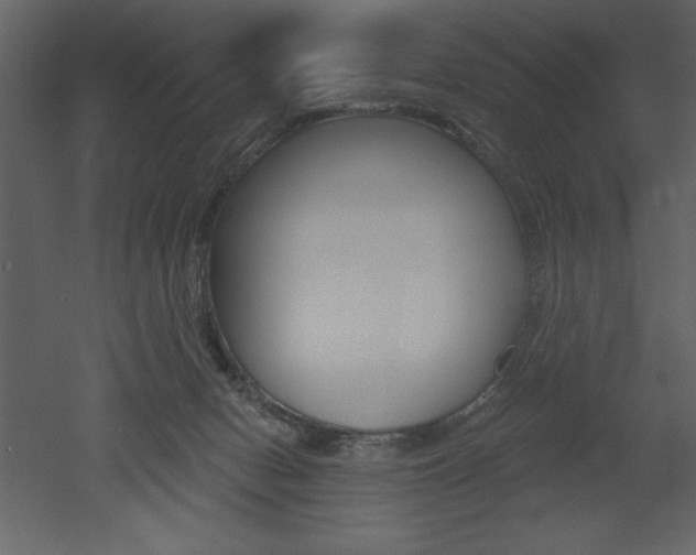 X0000053000078200507081006