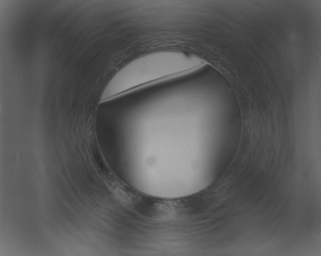 X0000053000079200507081006