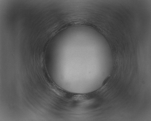 X0000053000082200507081006