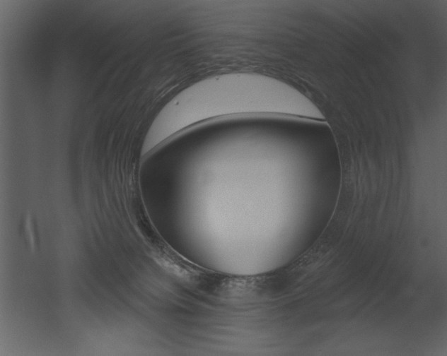 X0000053000084200507081006