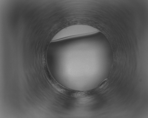 X0000053000086200507081006