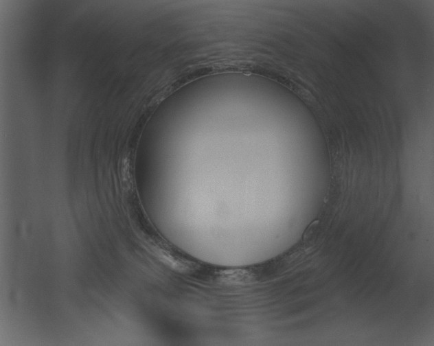 X0000053000087200507081006