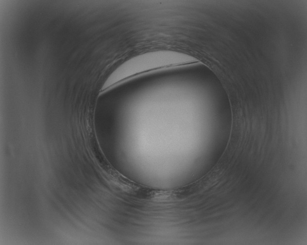X0000053000088200507081006