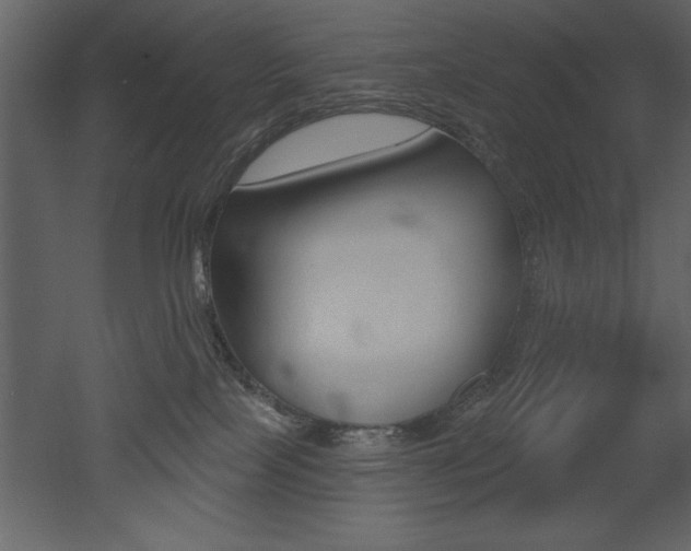 X0000053000089200507081006