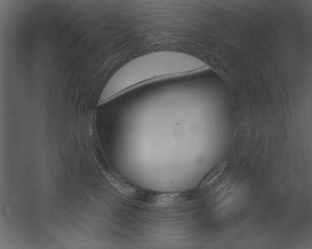 X0000053000090200507081006