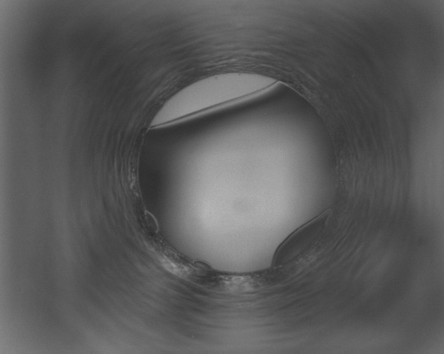 X0000053000091200507081006