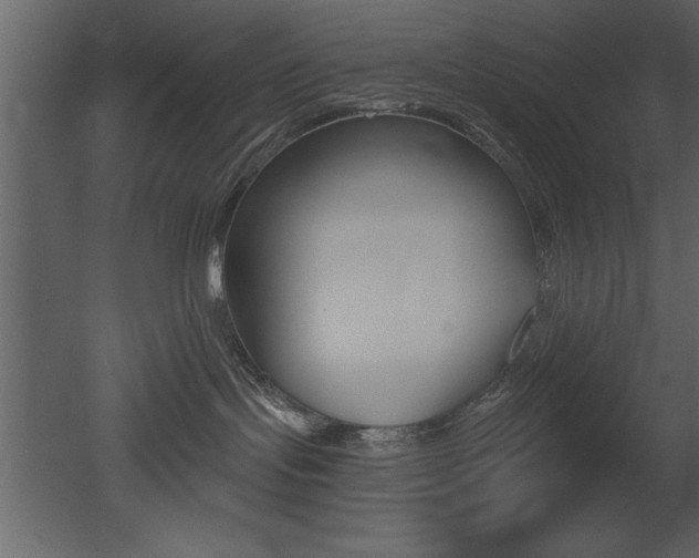 X0000053000095200507081006