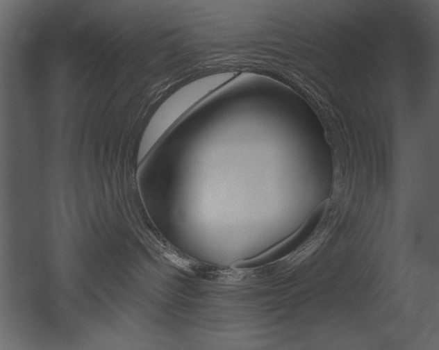 X0000053000096200507081006