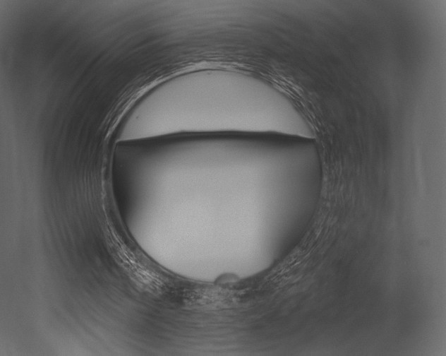 X0000053000098200507081006