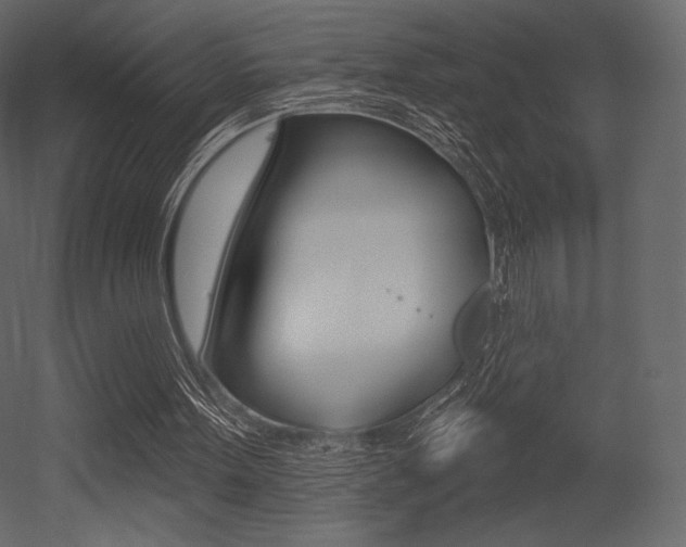 X0000053000099200507081006