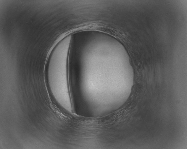 X0000053000100200507081006