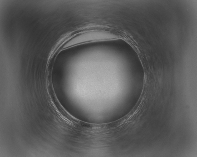 X0000053000101200507081006