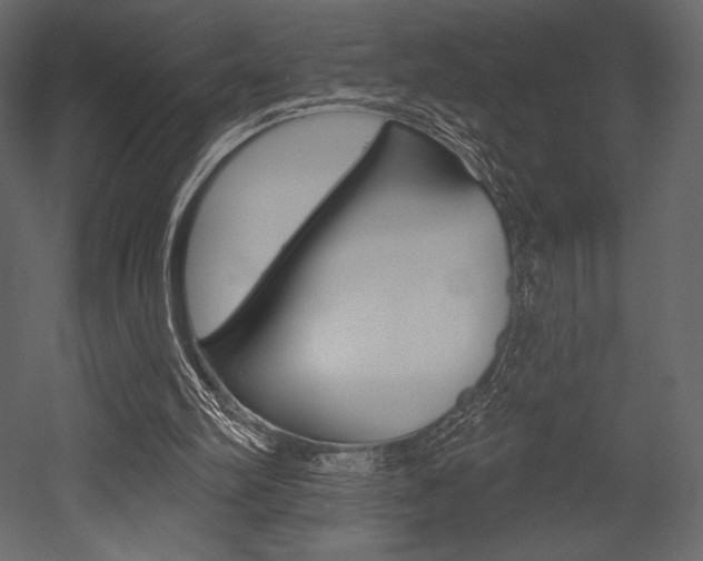 X0000053000102200507081006