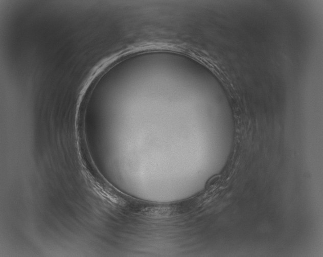 X0000053000104200507081006