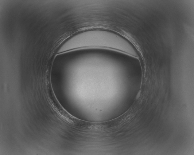 X0000053000105200507081005