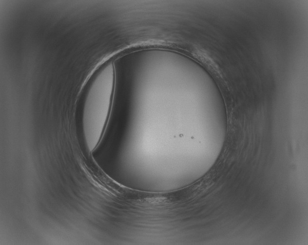 X0000053000108200507081005