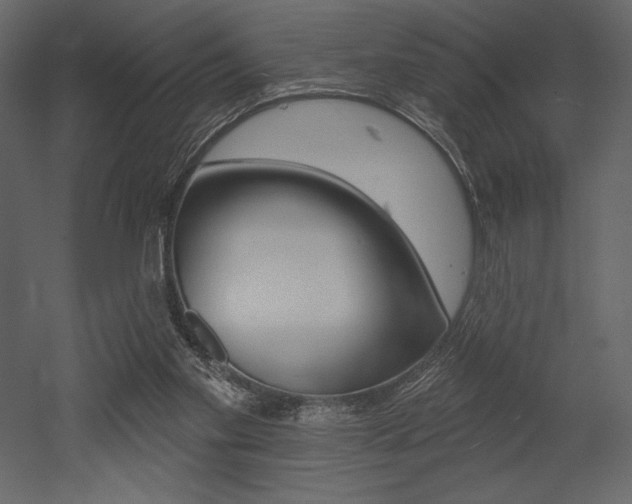 X0000053000109200507081005