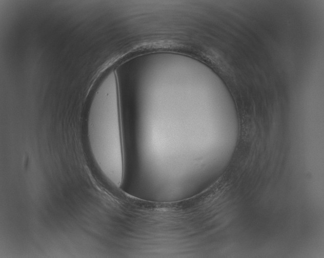 X0000053000111200507081005