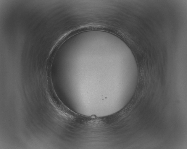 X0000053000112200507081005