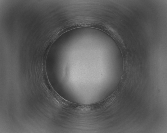 X0000053000113200507081005