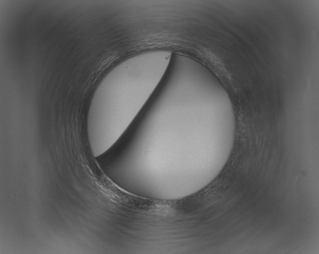 X0000053000114200507081005