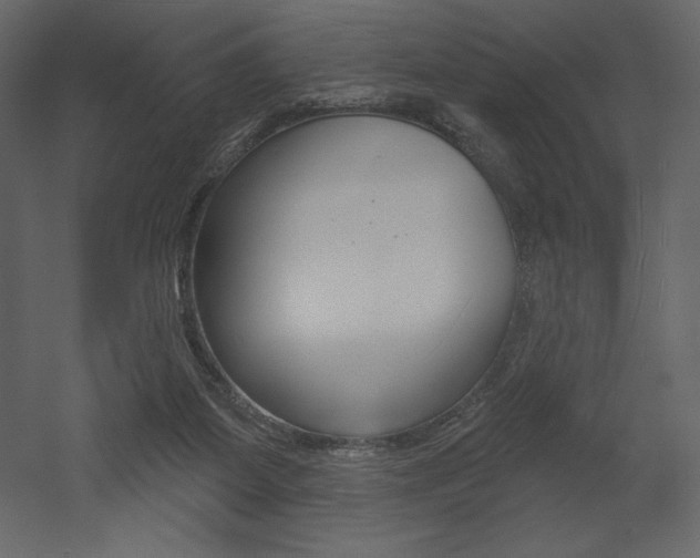 X0000053000115200507081005