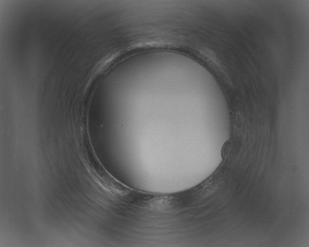 X0000053000116200507081005