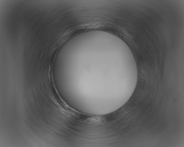 X0000053000118200507081005