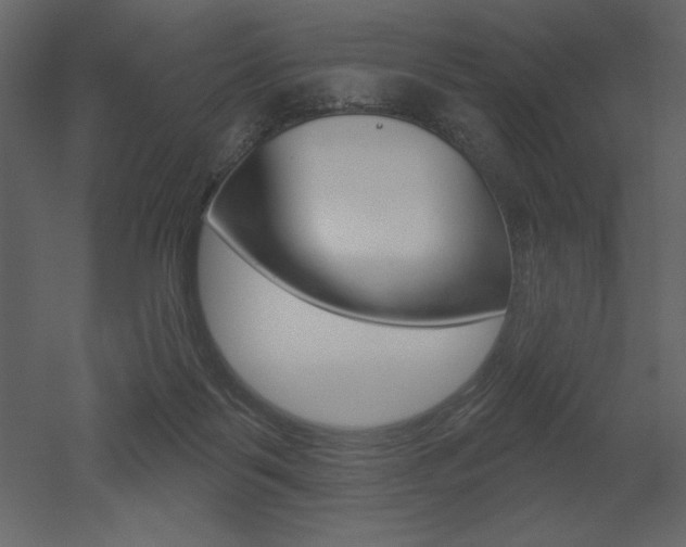 X0000053000123200507081005