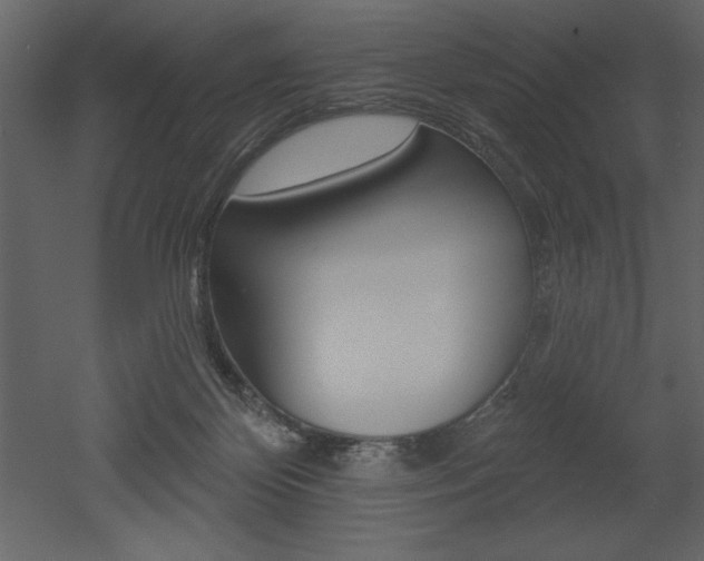 X0000053000124200507081005