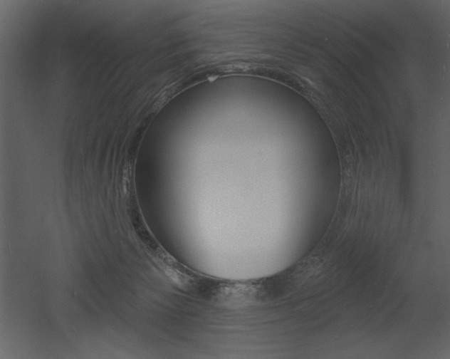 X0000053000125200507081005